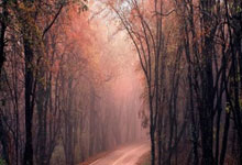 爱游戏app下载地址-RB莱比锡遭遇连败，德甲前进道路布满荆棘，rb莱比锡主场球衣