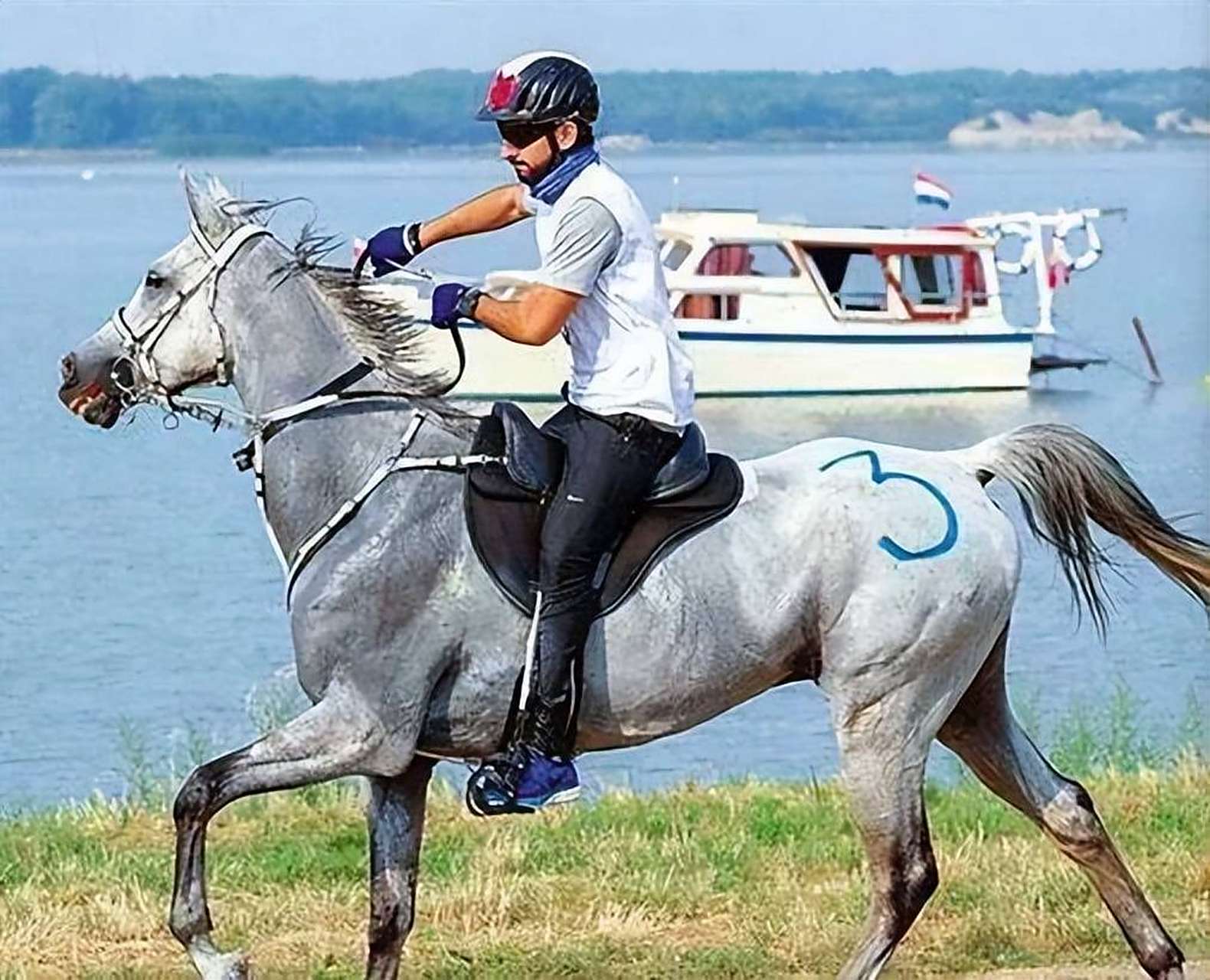 关于阿联酋马术选手驾驭出色,获得个人冠军殊荣的信息 关于阿联酋马术选手驾驭出色,获得个人冠军殊荣的信息