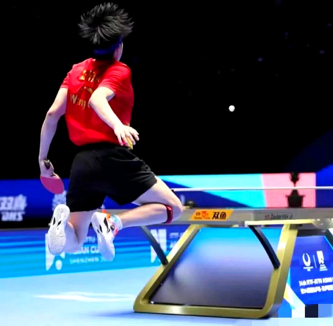 选手全力以赴，呈现出色竞技水准的简单介绍