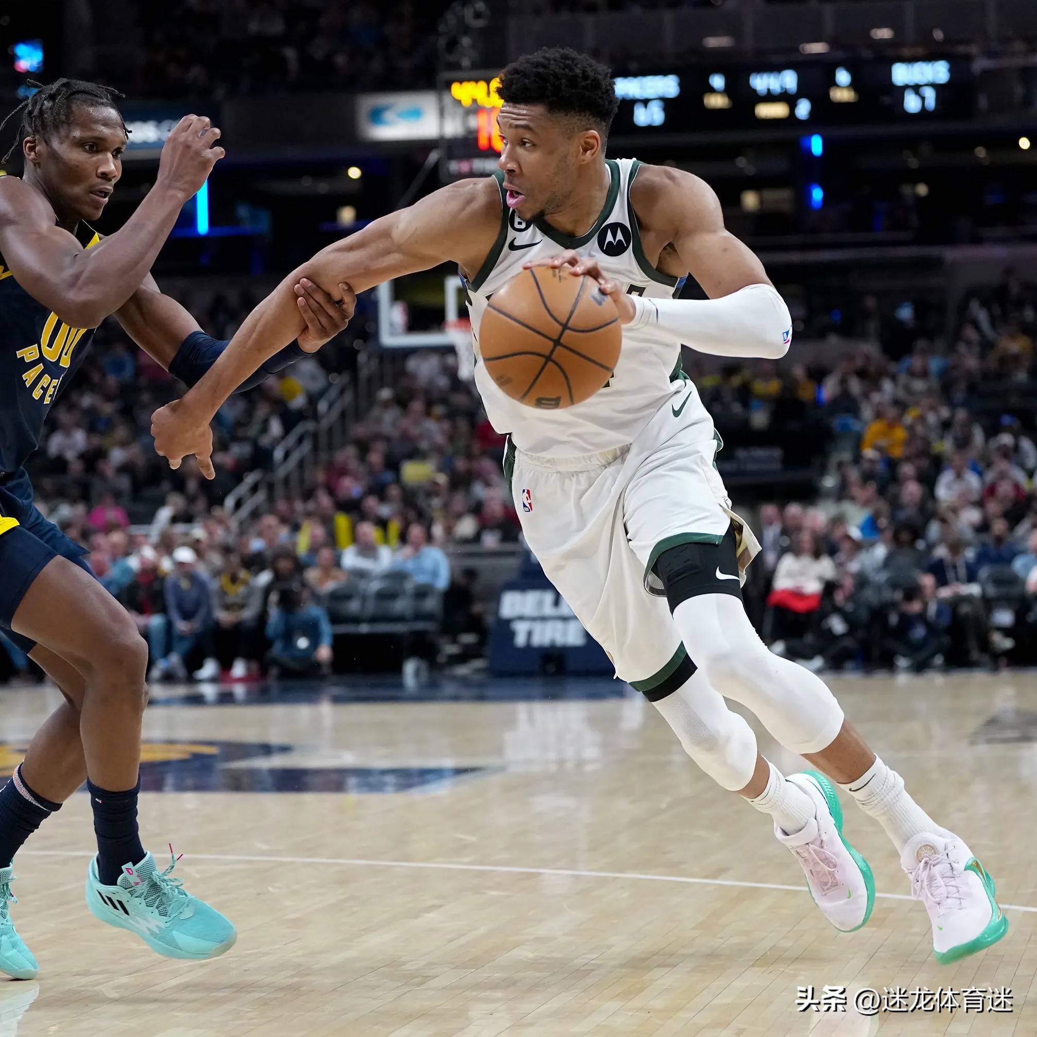 雄鹿力克灰熊，字母哥31分9篮板