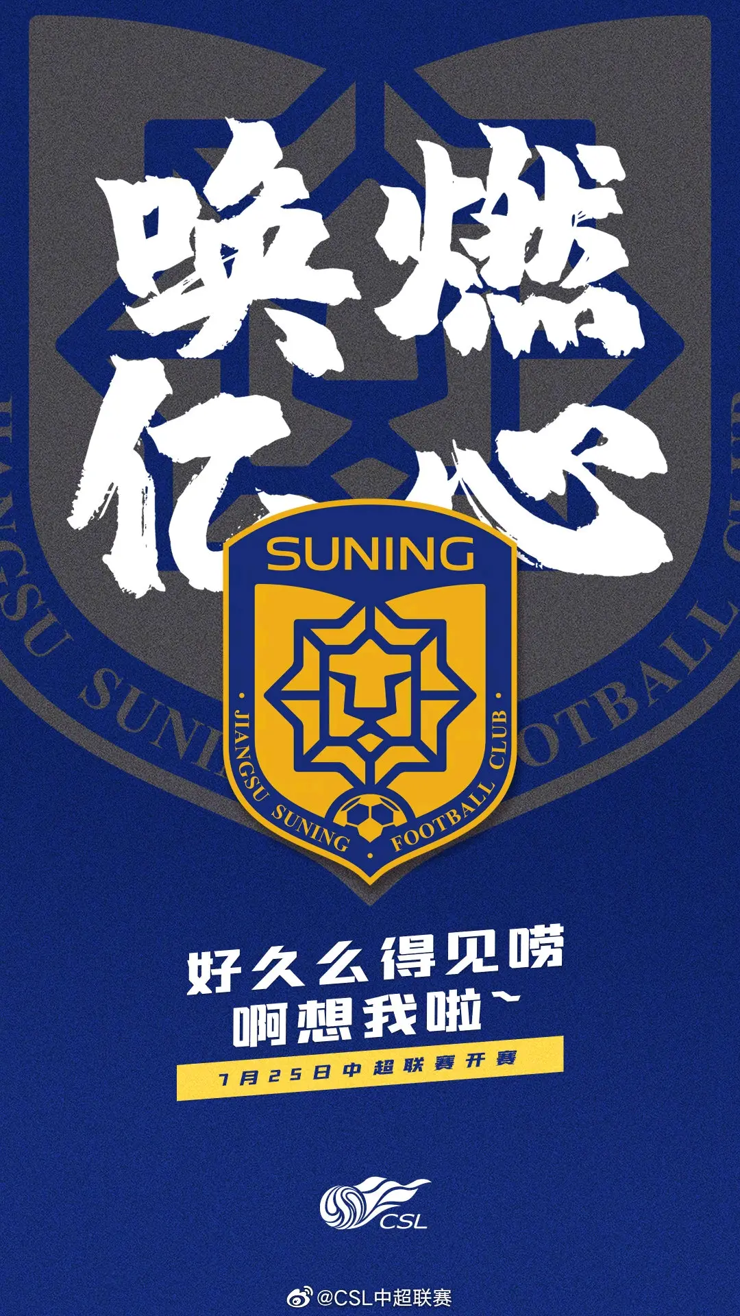 山东鲁能险胜江苏苏宁，收获宝贵三分的简单介绍