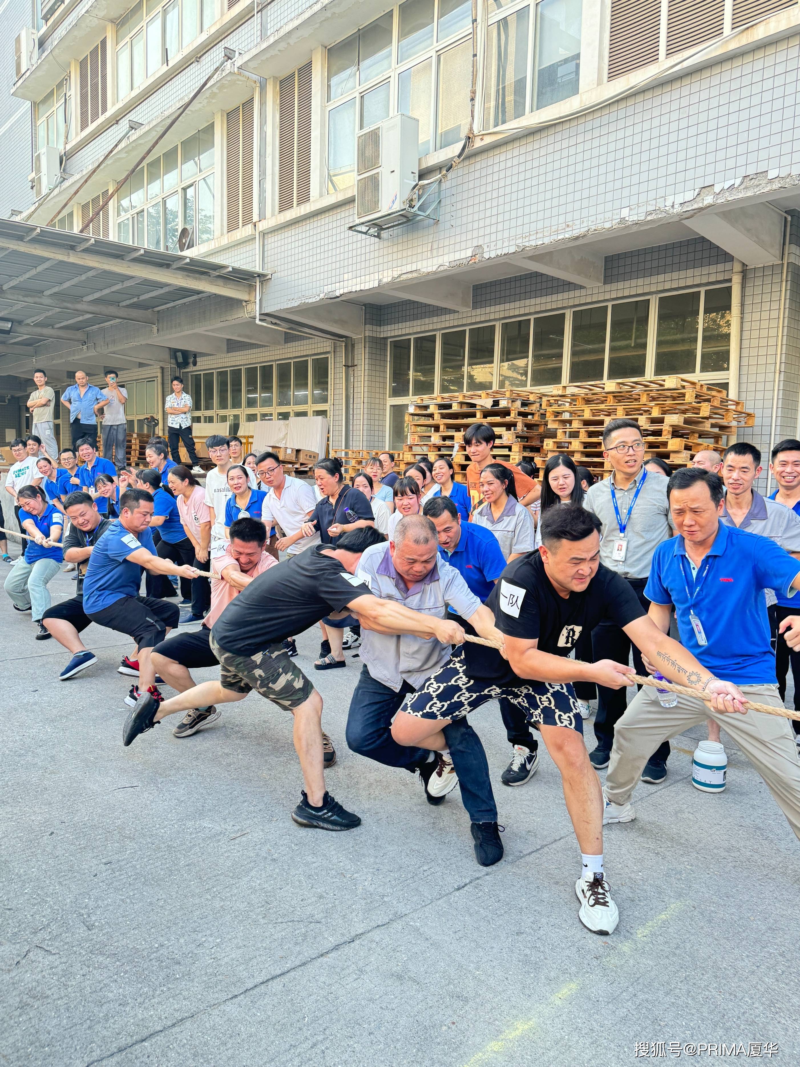 队伍全员发力，团结一致取得胜利